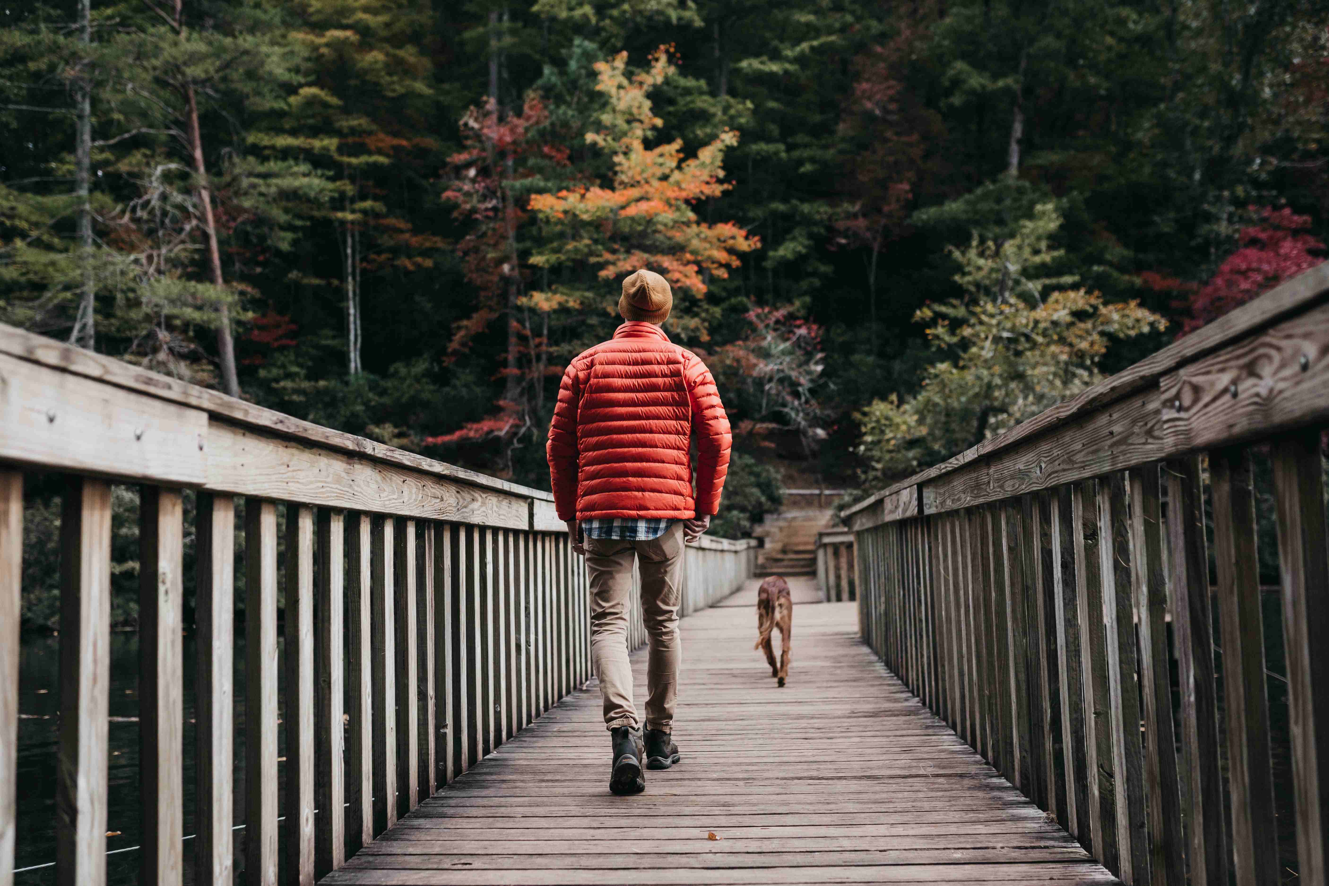 Muž se psem je na procházce v přírodě. Listy na stromech zdobí listopadové barvy.